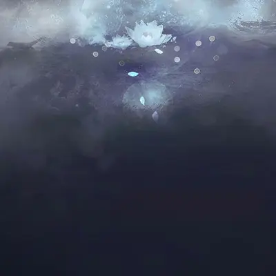 泉封面