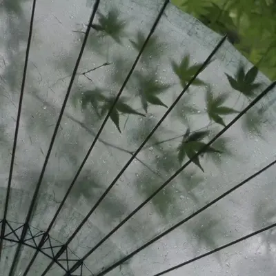 路上 - 田昊宇封面