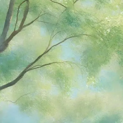 没有 - 赵小白封面