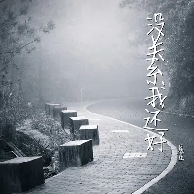 没关系我还好封面