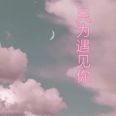 只为遇见你(DJ曹俊宇版)封面