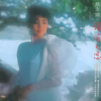 奶奶的手封面