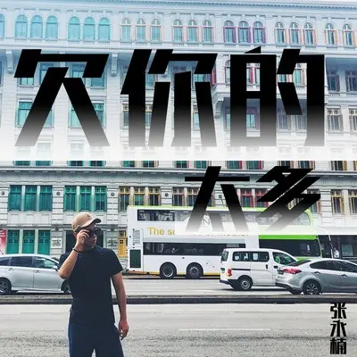 欠你的太多封面
