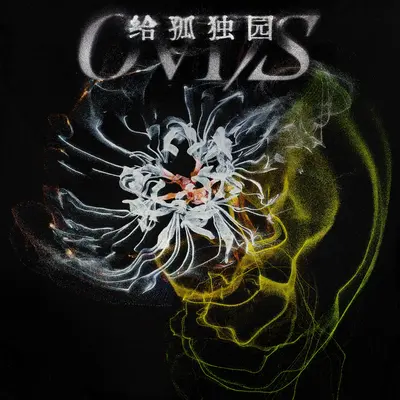 吞吐 - OVDS封面