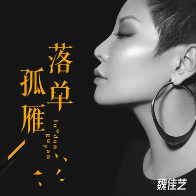 落单孤雁 (DJ沈念版)封面