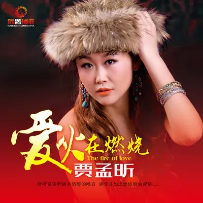 爱火在燃烧(完整版)封面