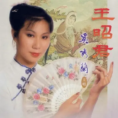 愿嫁汉家郎封面