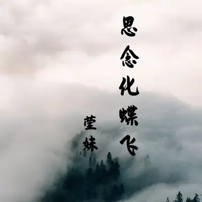 思念化蝶飞封面