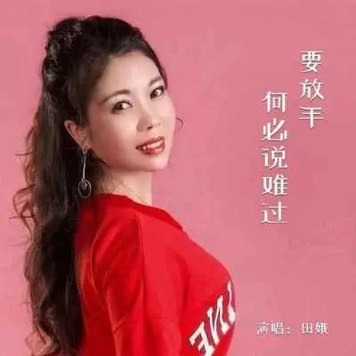 要放手何必说难过(DJ默涵版)封面