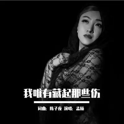 我唯有藏起那些伤封面