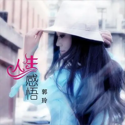 人生感悟（DJ何鹏版伴奏）封面