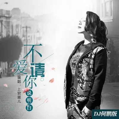 不爱请你说明白（(DJ何鹏版)(伴奏)）封面