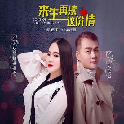 来生再续这份情（DJ何鹏版伴奏）封面