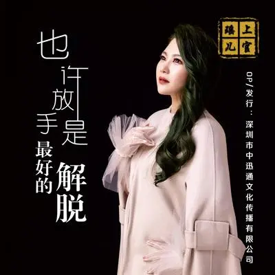 也许放手是最好的解脱（DJ何鹏版伴奏）封面