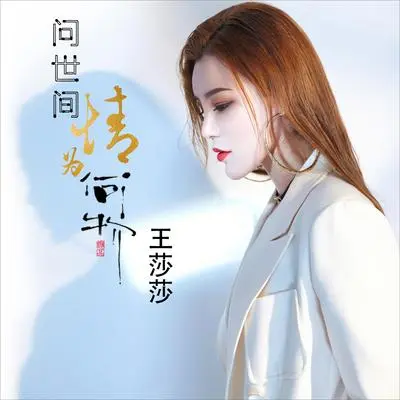 问世间情为何物（DJ何鹏版伴奏）封面