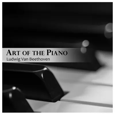 Schumann: ヴァイオリン・ソナタ 第1番 イ短調 作品105: II. Allegretto+Schumann: バイオリンソナタダイイチバンイタンチョウサクヒンイチマルゴ: ニアレグレット+Schumann: Violin Sonata No. 1 in A Minor, Op. 105: II. Allegretto封面