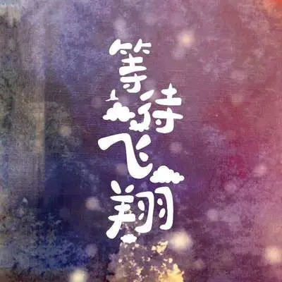 等待飞翔封面