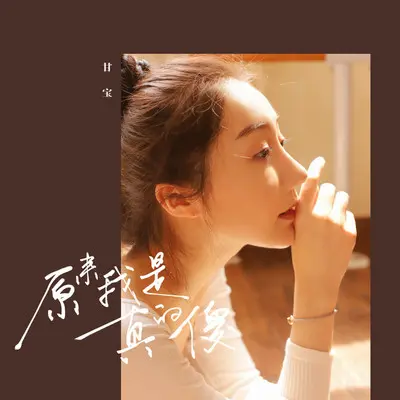 原来我是真的傻封面