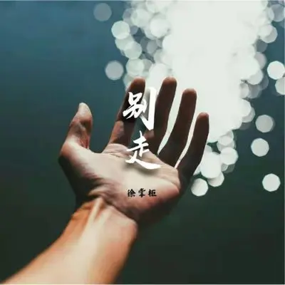 别走-徐掌柜封面