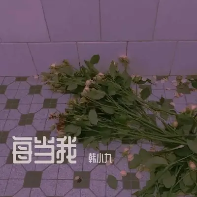 每当我-韩小九封面