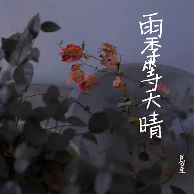 雨季等天晴封面