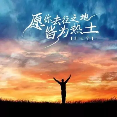 愿你去往之地皆为热土-杜天宇封面