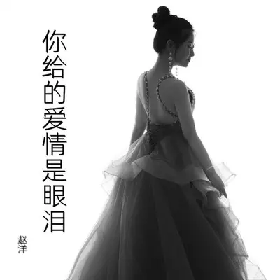 你给的爱情是眼泪 - 赵洋封面