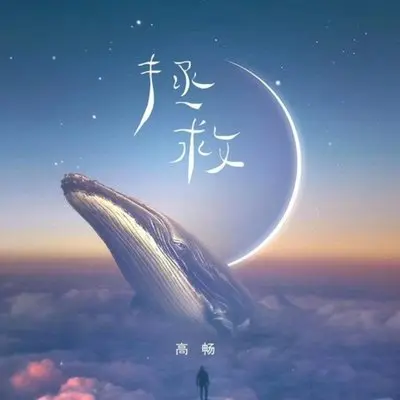 拯救-高畅封面