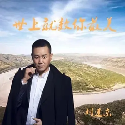 世上就数你最美(DJ默涵版) - 刘建东封面