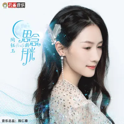 思念的月光 - 陶钰玉封面