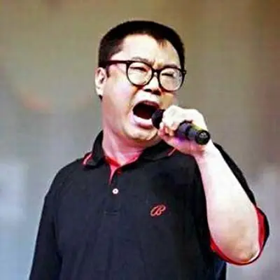 沉醉封面