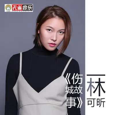 两个人的烟火封面