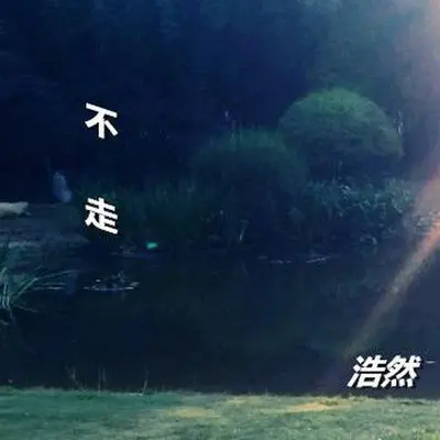 狼封面