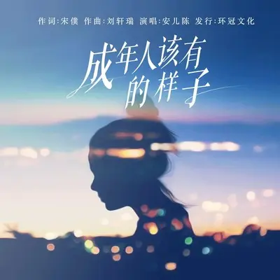 成年人该有的样子(完整版)(完整版)封面