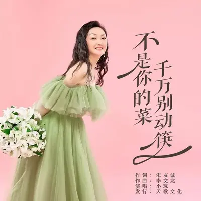 不是你的菜千万别动筷(DJ彭锐版)(DJ彭锐版)封面