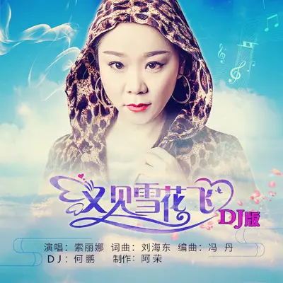 又见雪花飞 (DJ版) - 索丽娜封面