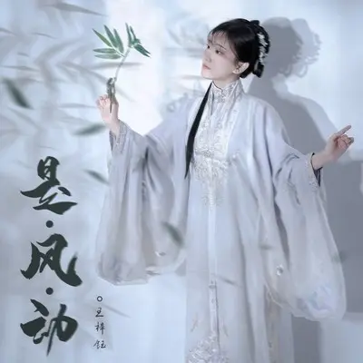 是风动封面