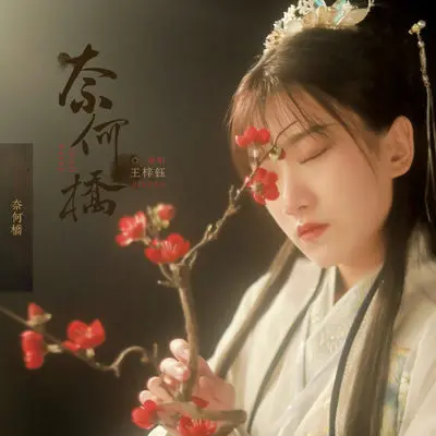 奈何桥封面