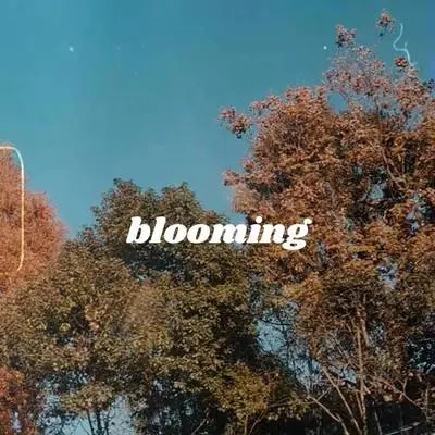 Blooming封面