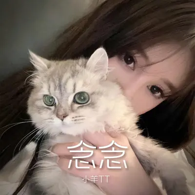 念念封面