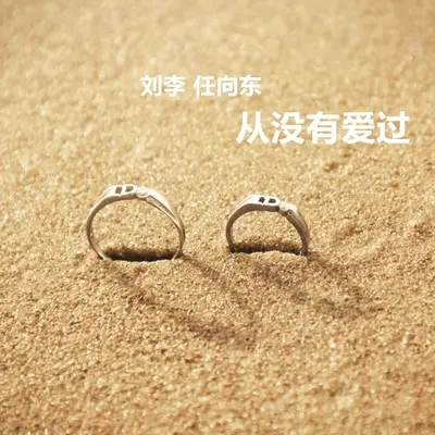 从没有爱过封面