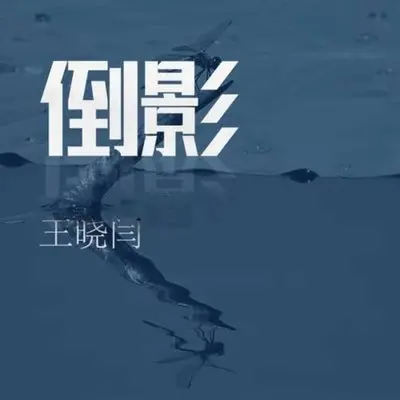 倒影-王晓闫封面