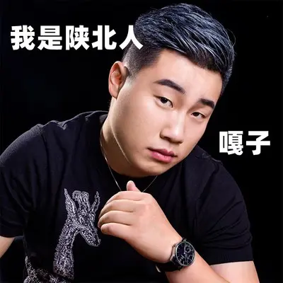 怀念青春封面