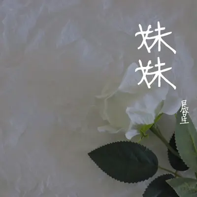 妹妹封面