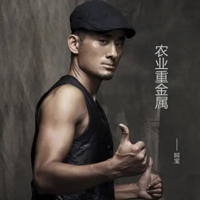 农业重金属(DJ版)封面