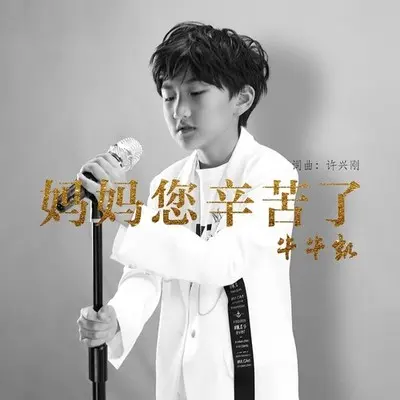 妈妈您辛苦了 (DJ默涵版)封面