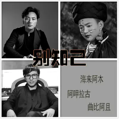 别知己(伴奏)封面