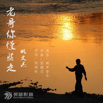 老哥你慢些走封面