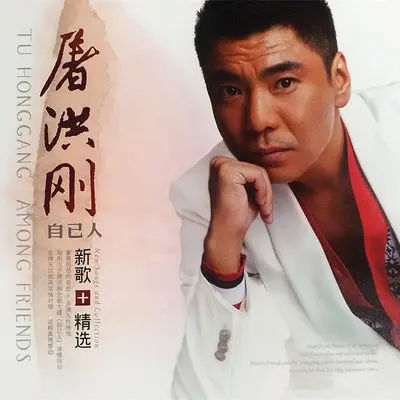 自己人封面