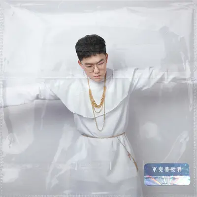 不完美世界封面